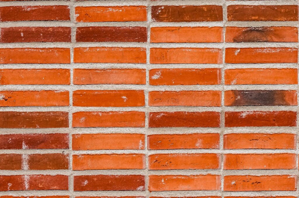 pexels photo 36533755.jpeg