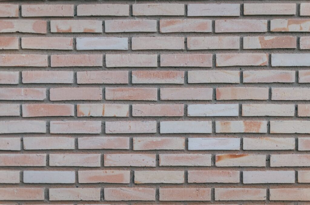 pexels photo 6379854.jpeg